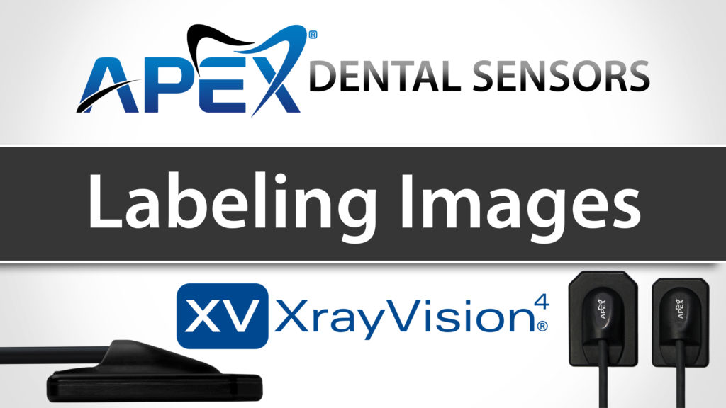 Apteryx XrayVision Labeling Images