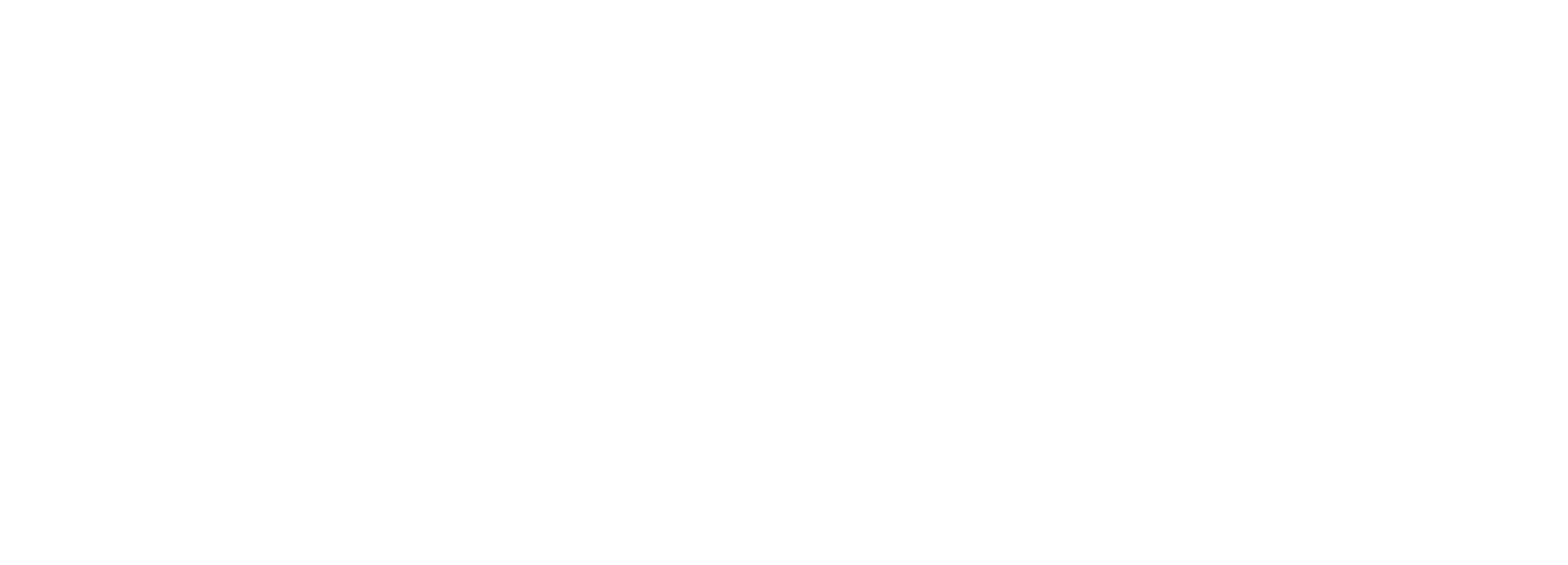 masterlink-logo-white-hires